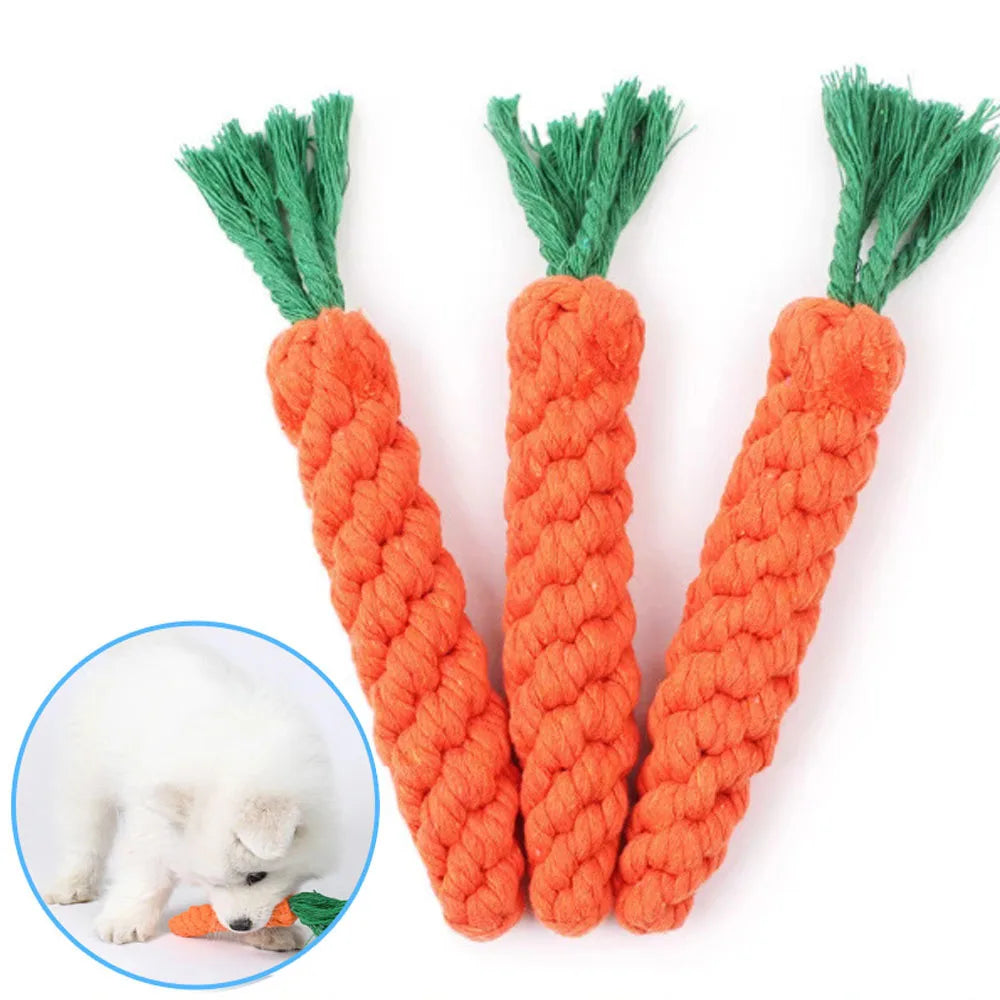 Carrot Dog Bite Rope