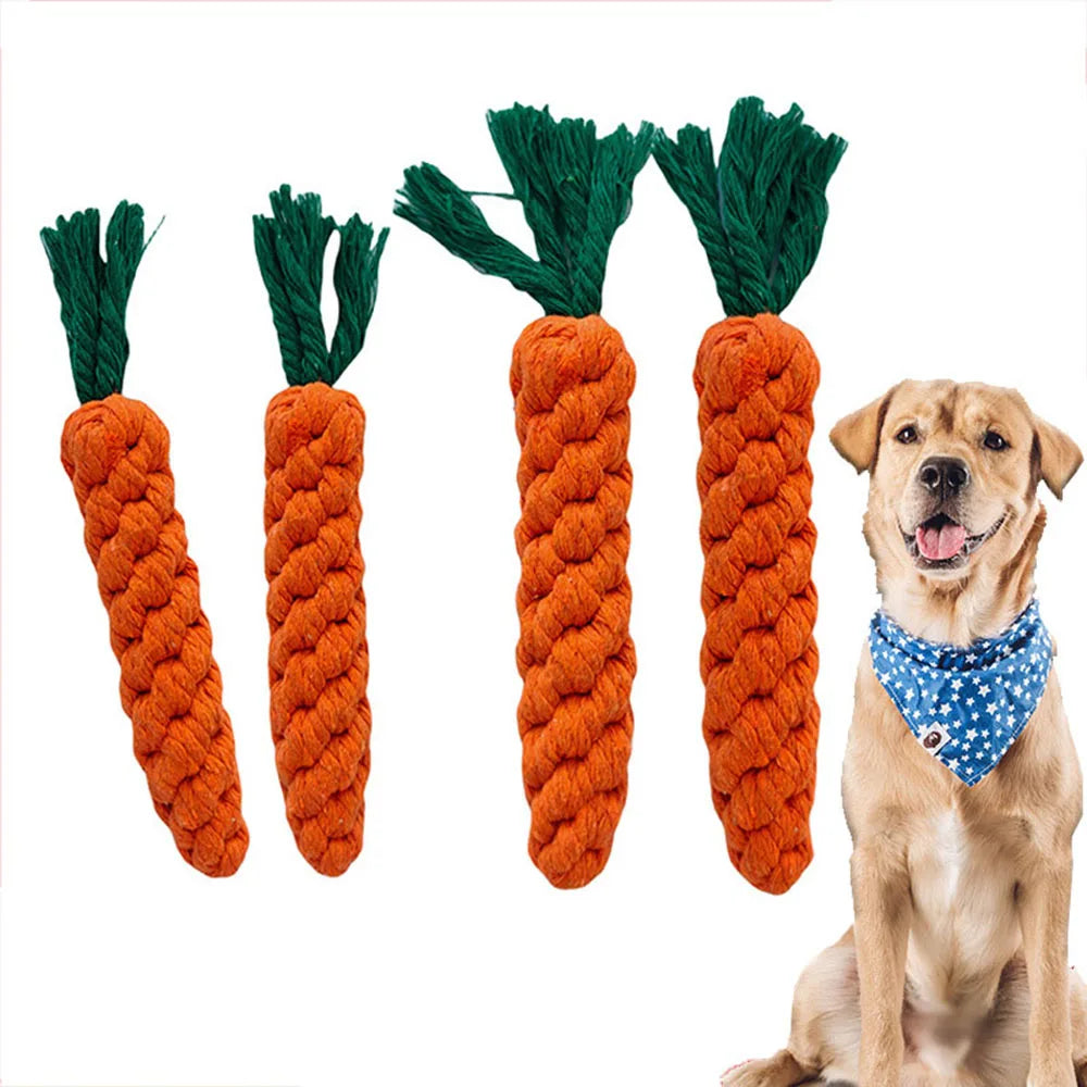 Carrot Dog Bite Rope