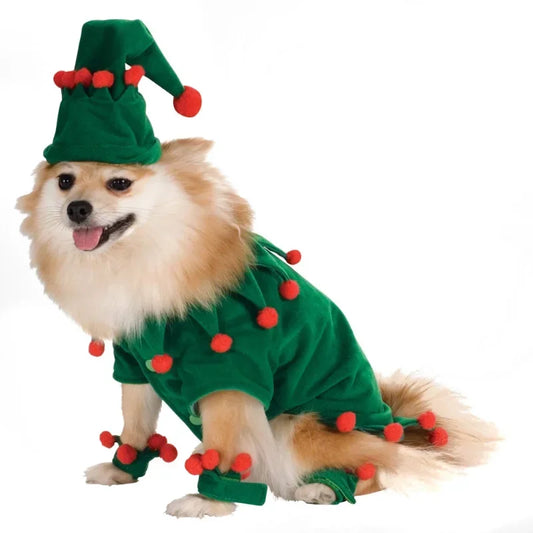 Funny Halloween Dog Costume