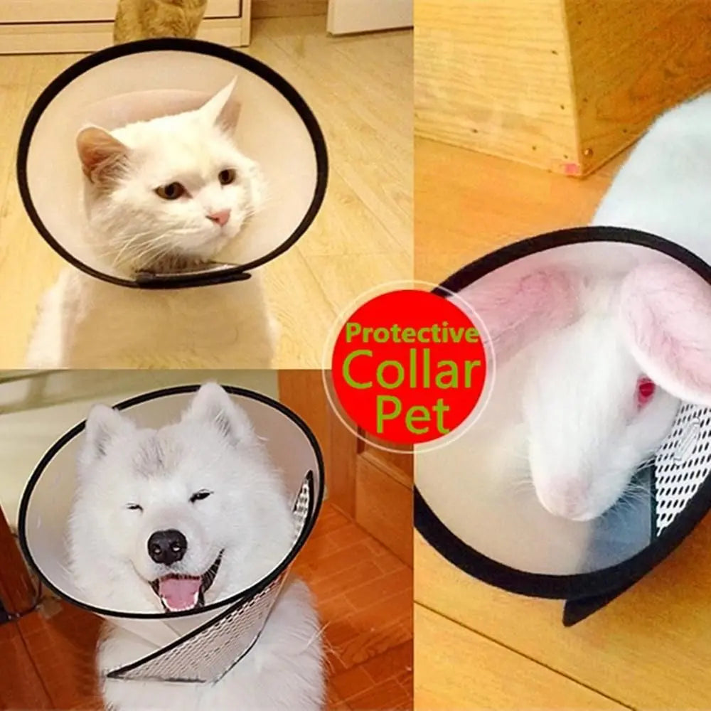 Collar Neck Cone