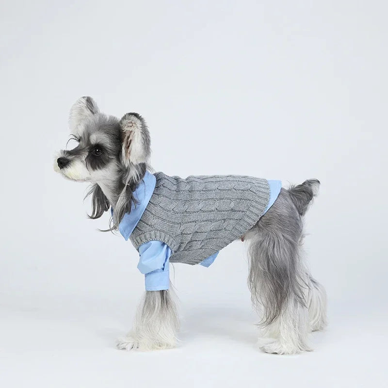 Small Dogs Wool Sweater