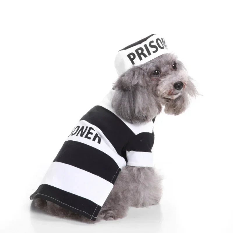 Funny Halloween Dog Costume