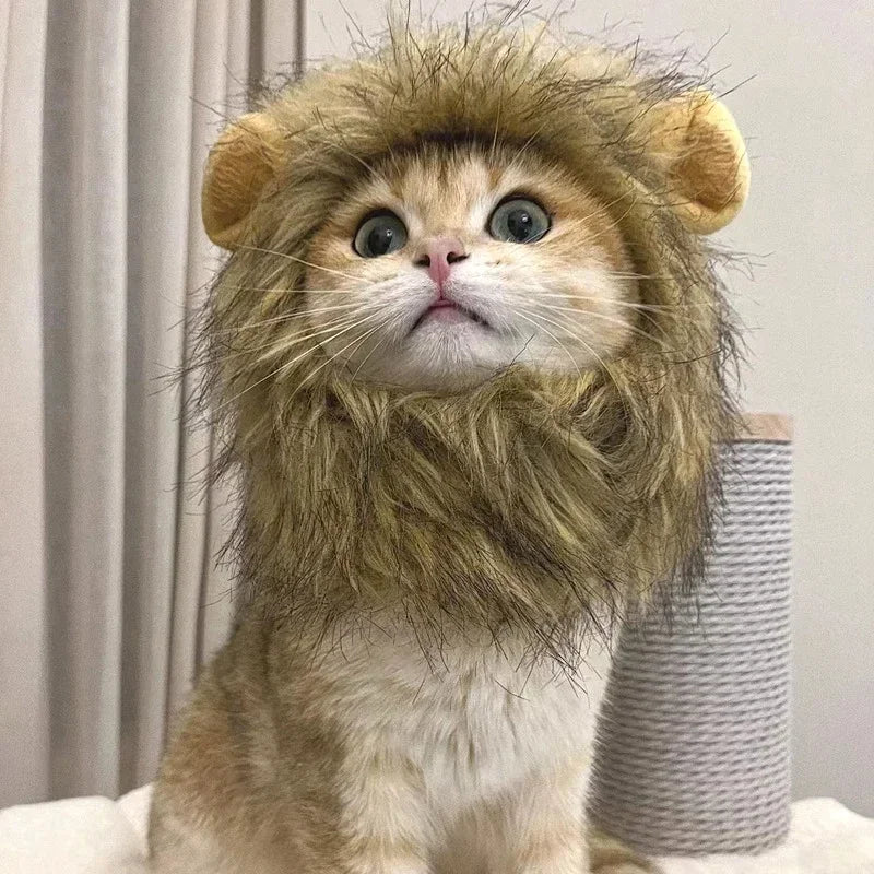 Lion Mane Cat Wig Hat