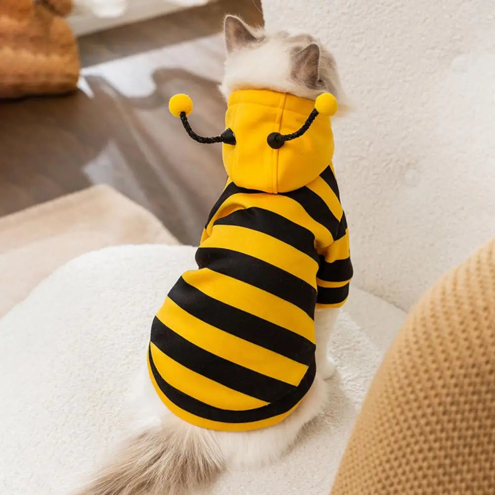 Bee Pet Coat Apparel Outfit