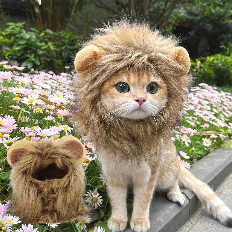 Lion Mane Cat Wig Hat