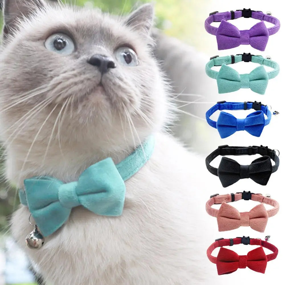 Suede Bow Collar