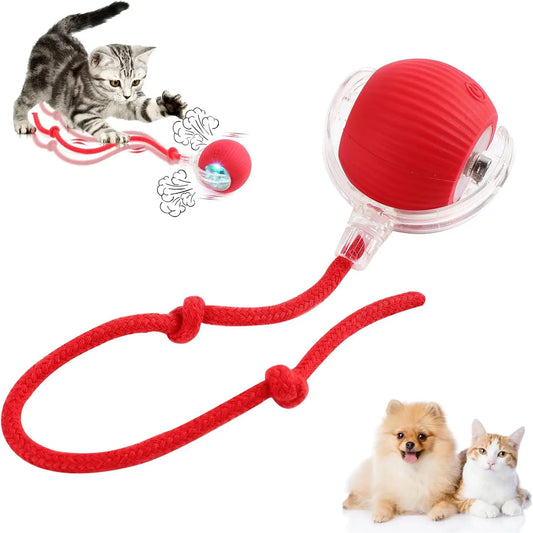 Interactive Rolling Cat Ball Dog Toys