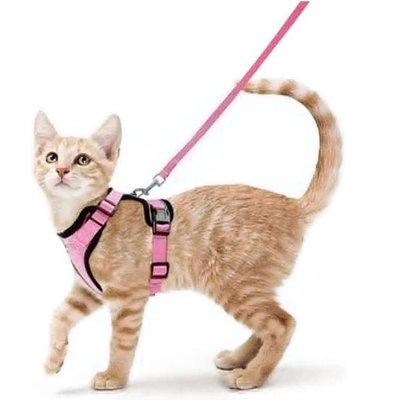 Cat Harness And Leash