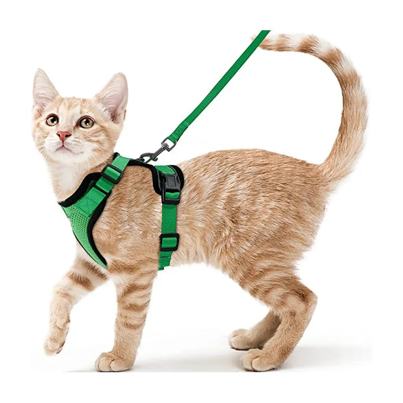 Cat Harness And Leash