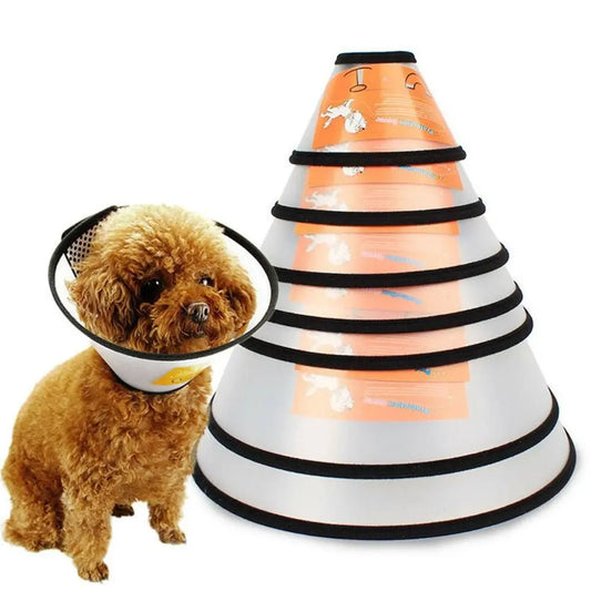 Collar Neck Cone