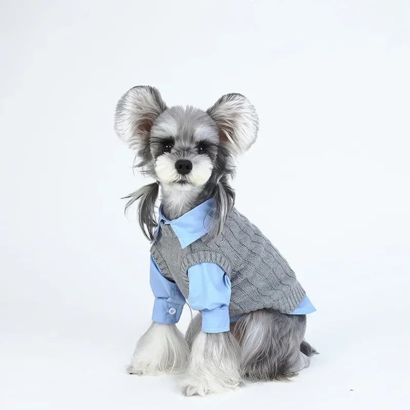 Small Dogs Wool Sweater