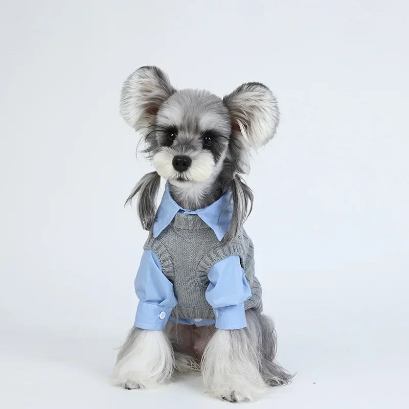 Small Dogs Wool Sweater