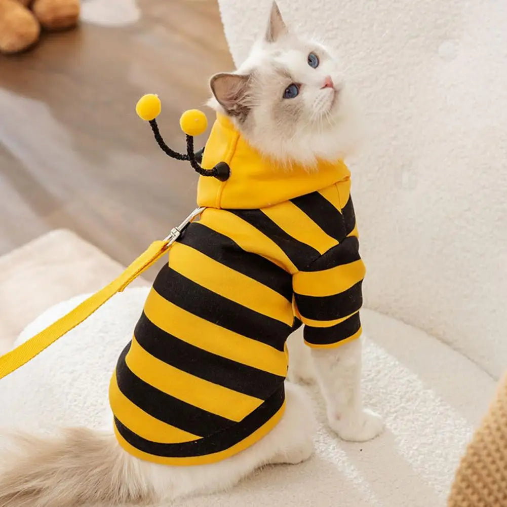 Bee Pet Coat Apparel Outfit