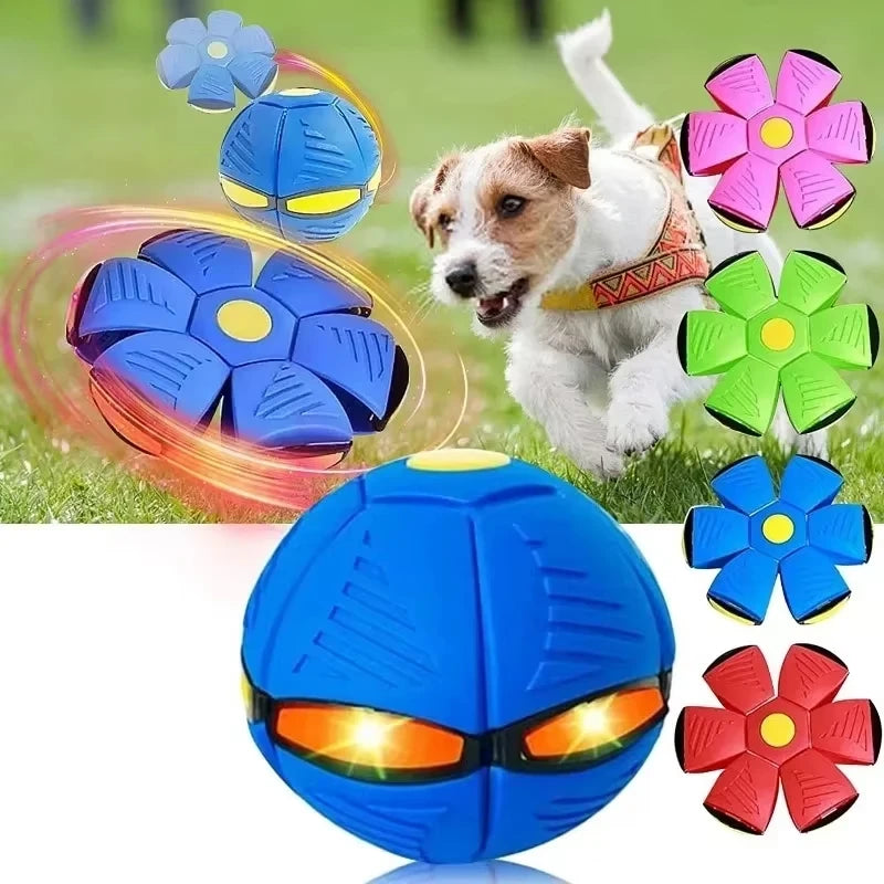 Funny Pet Toy