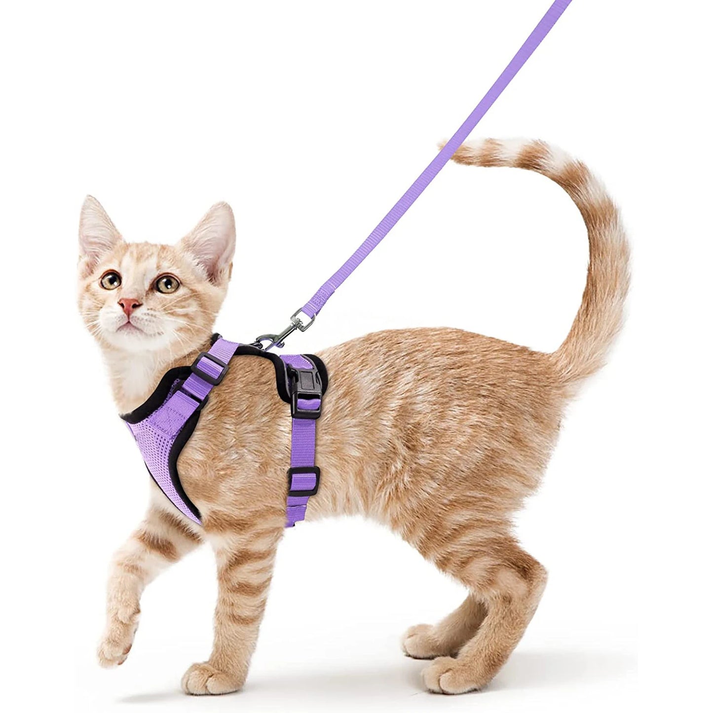 Cat Harness And Leash