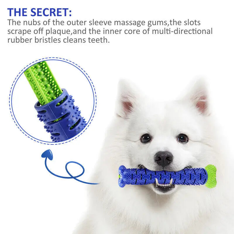 Toothbrush Dog Toys