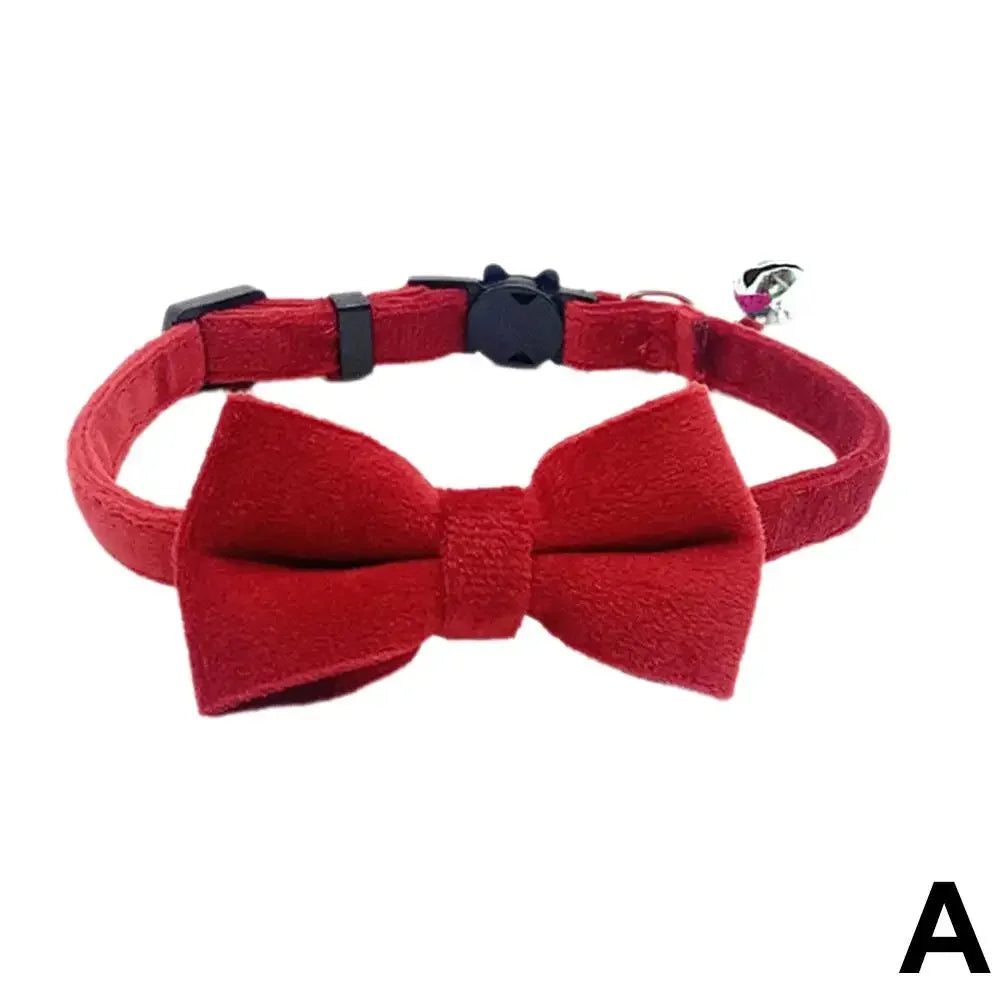 Suede Bow Collar