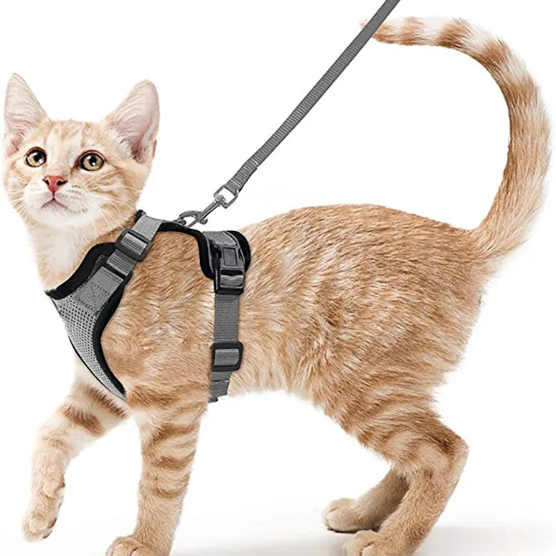 Cat Harness And Leash