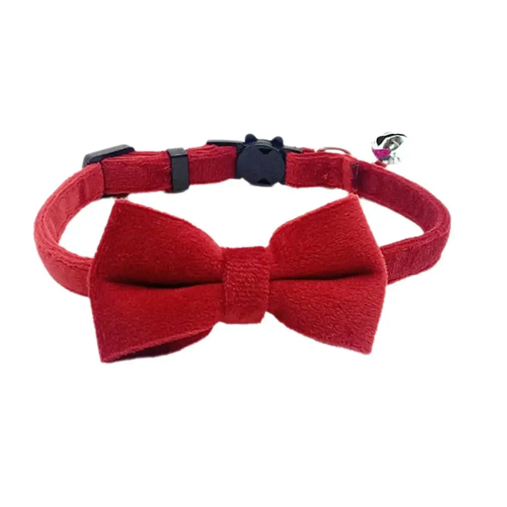 Suede Bow Collar