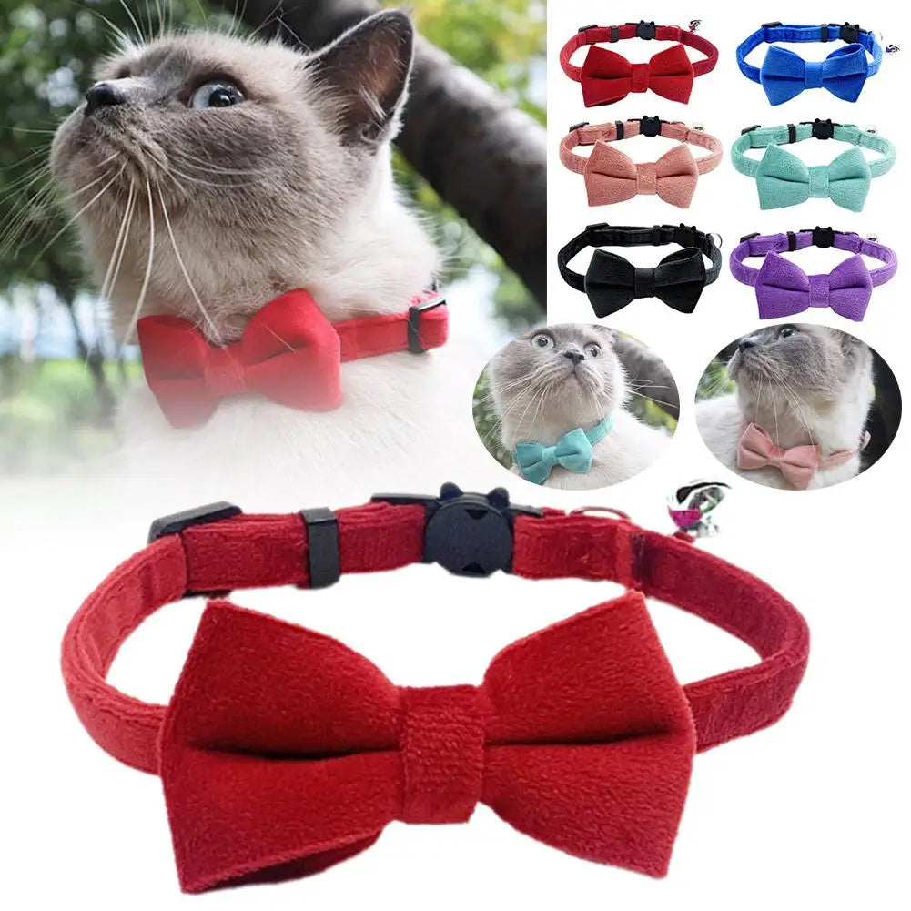 Suede Bow Collar