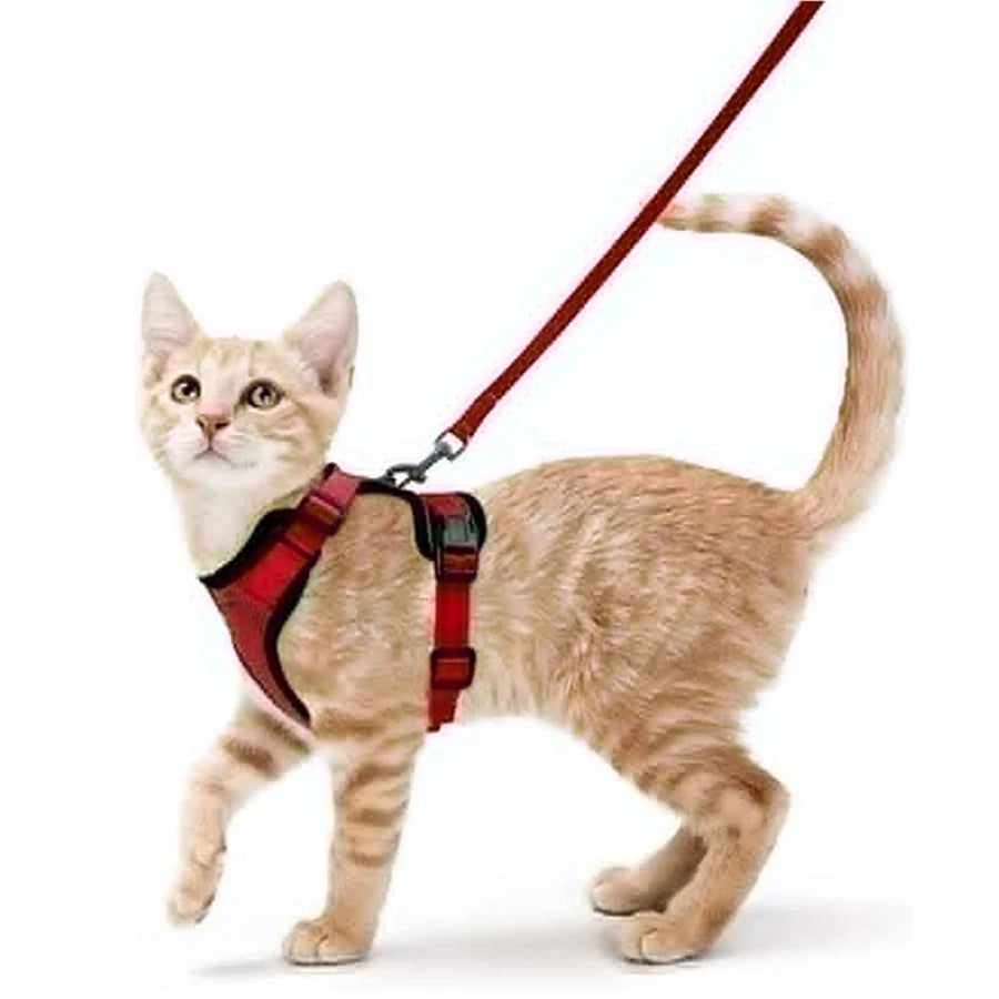 Cat Harness And Leash