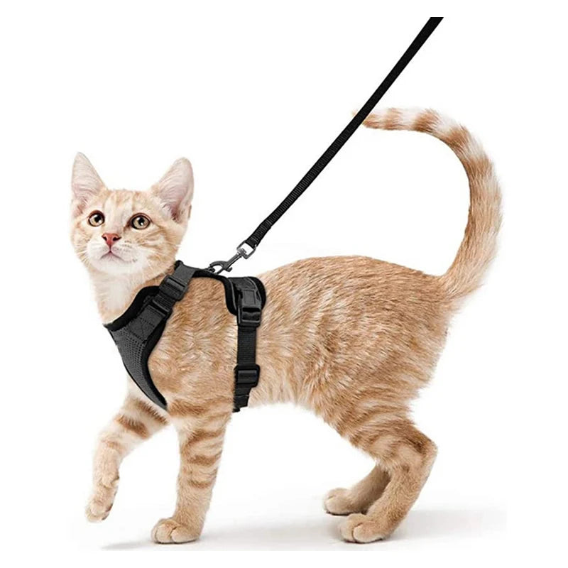 Cat Harness And Leash