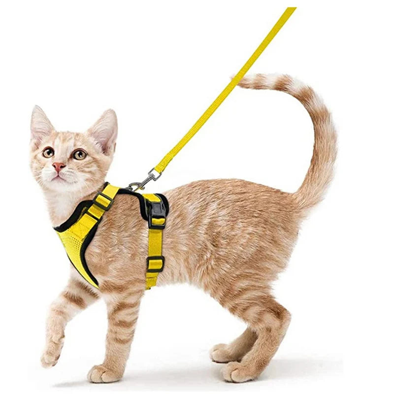 Cat Harness And Leash