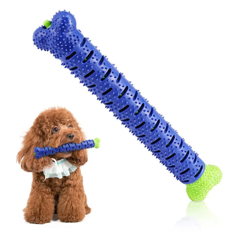 Toothbrush Dog Toys