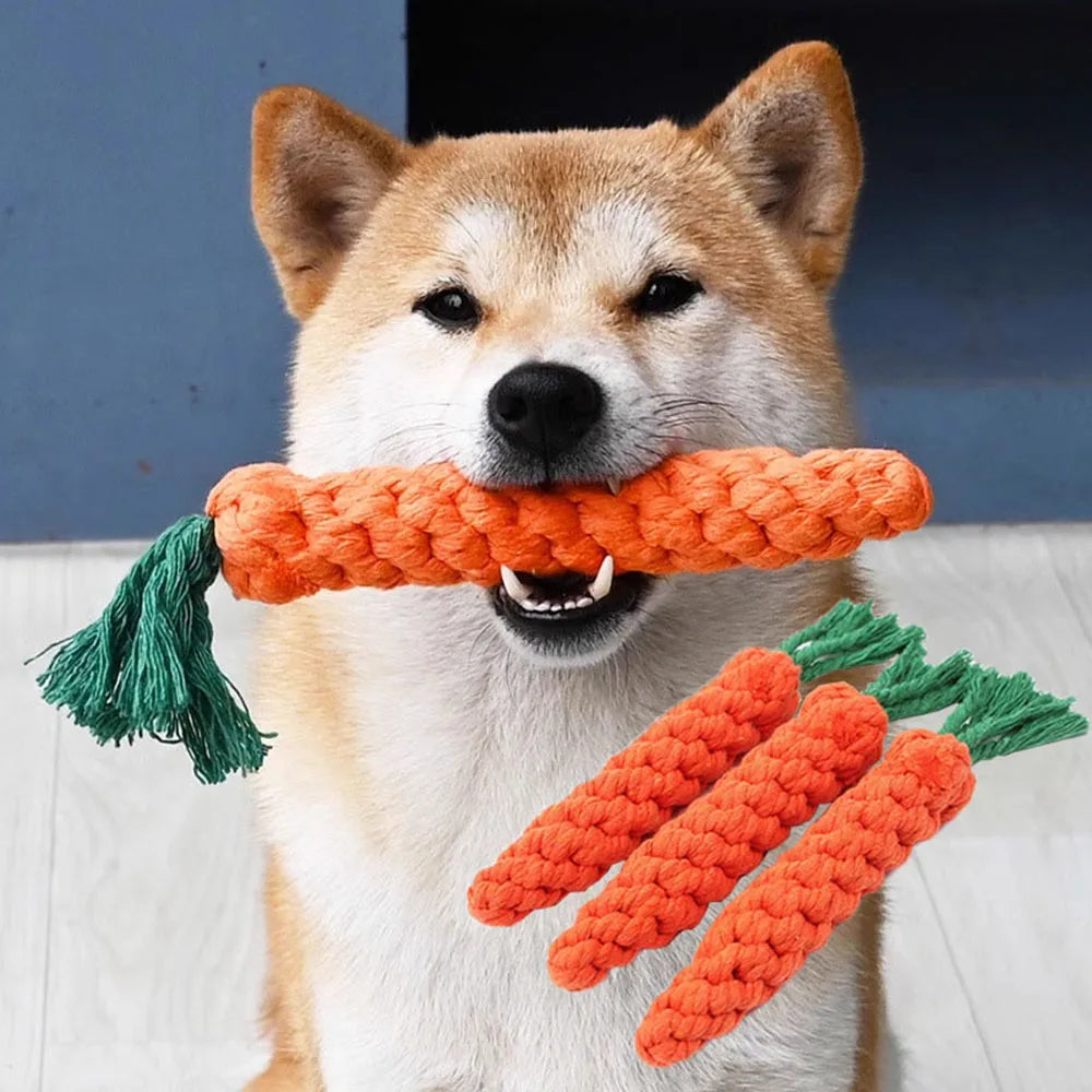 Carrot Dog Bite Rope