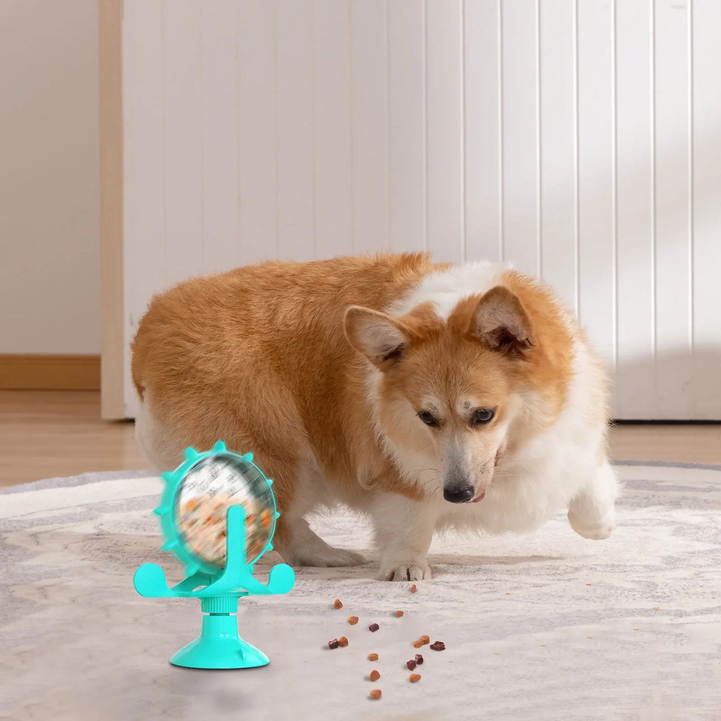 360° Rotating Pet Toy